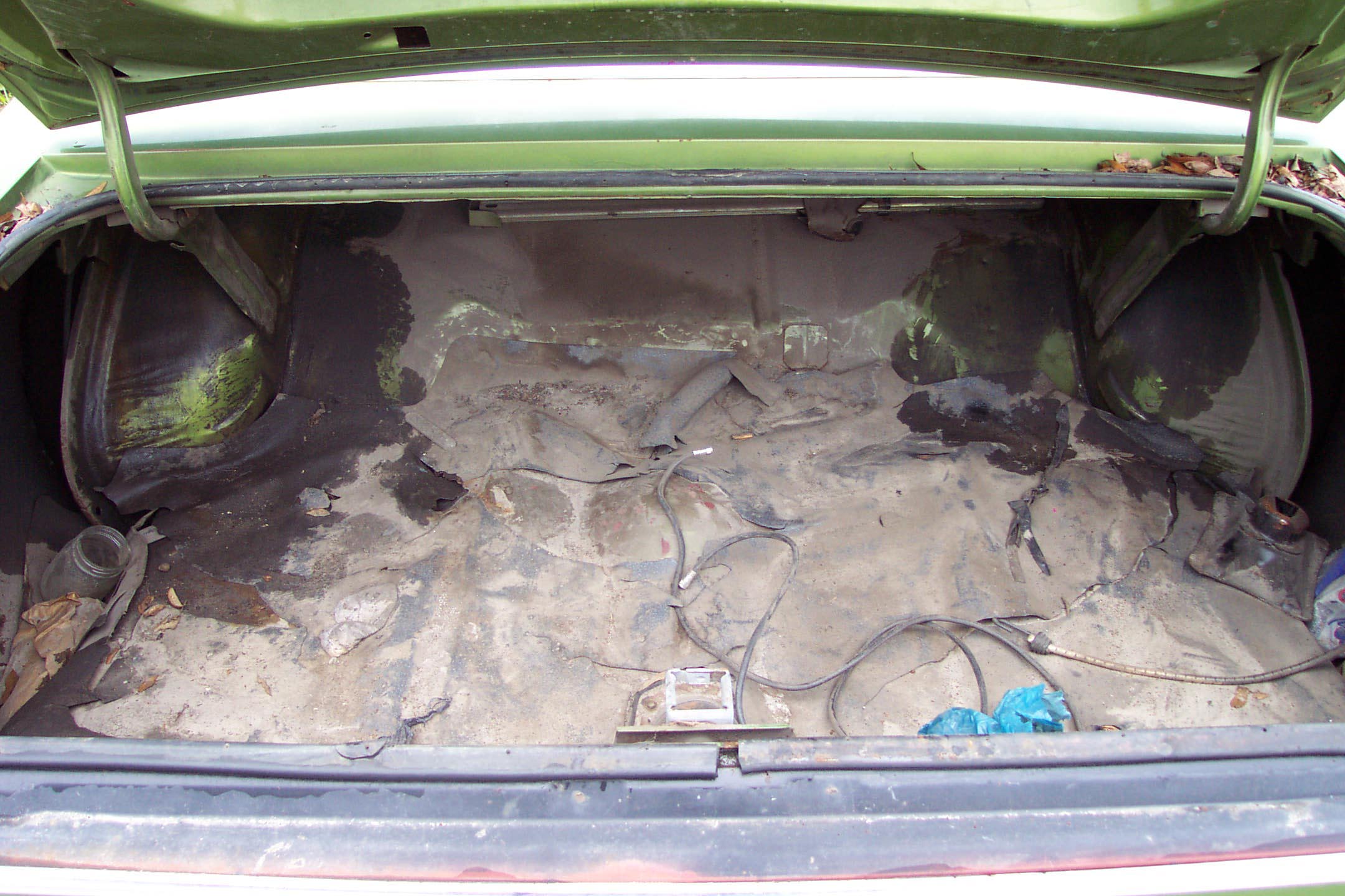 trunkstraightviewprerestoration.jpg